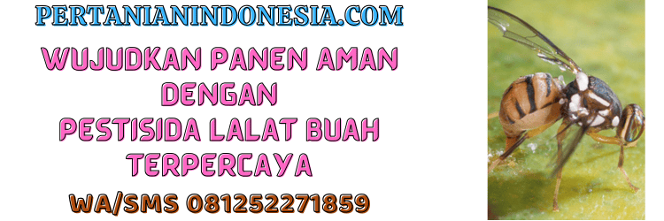 jual,murah,terjangkau,toko pertanian terdekat,pertanian indonesia